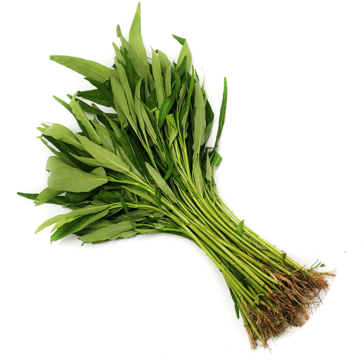 Kangkong (Water Spinach) +/250g MyGroser